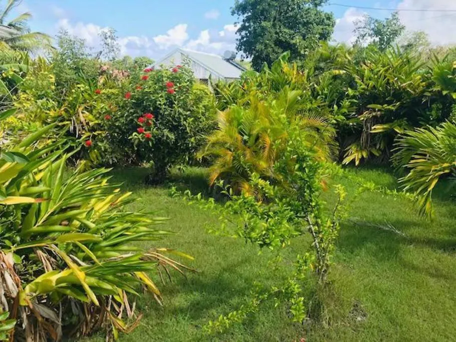 Villa Sous Le Manguier-Anse Bertrand 5Min Plage  Anse-Bertrand